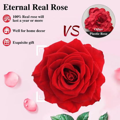 Women's Holiday Gifts Eternal Red Rose With Heart Necklace Flower Lipstick Gift For Mom Girlfriend Birthday From Daughter Sons